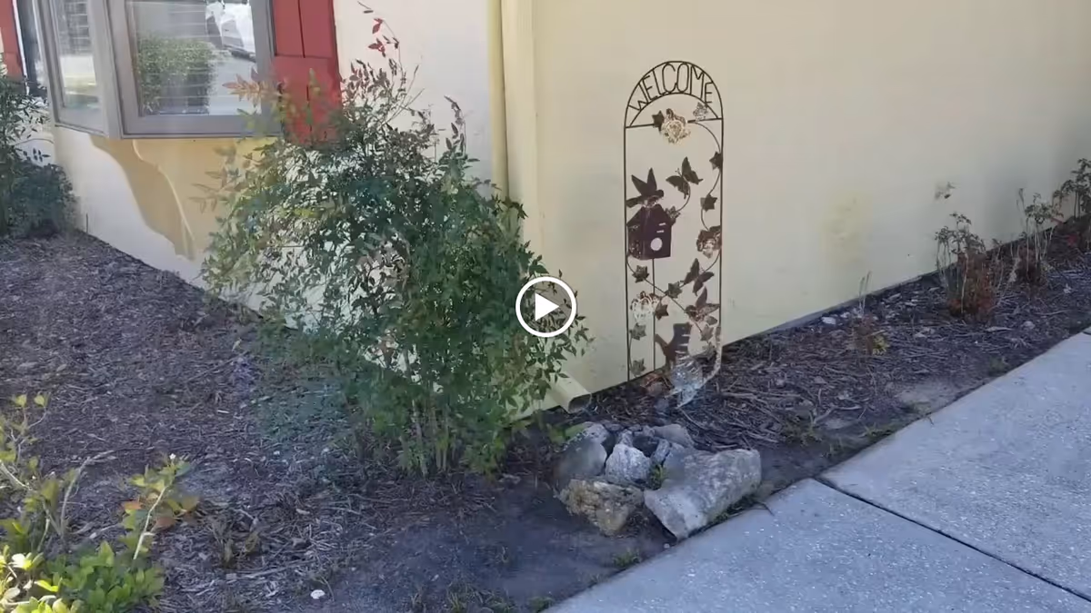 Small planted bed outside a pale yellow building with shrubs, rocks, a 'WELCOME' decorative metal sign, and a concrete walkway.