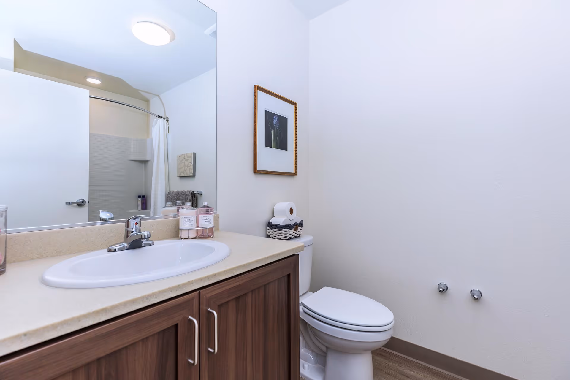 Bathroom with a sink and wood vanity, large mirror, toilet, and a shower curtain reflected in the mirror.