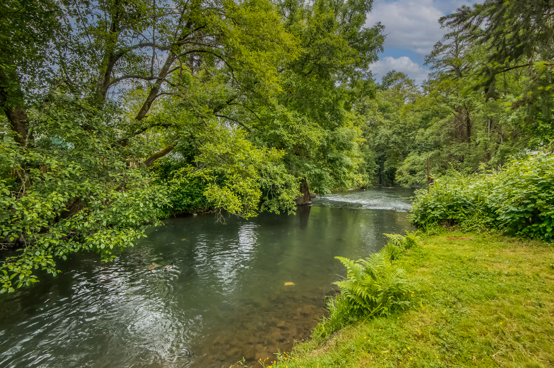 A serene outdoor scene featuring a calm river surrounded by lush green trees and vegetation under a partly cloudy sky.