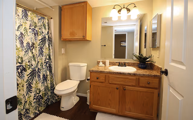 Bathroom with a toilet, wooden vanity with a sink, a large mirror above the sink, a cabinet mounted on the wall, and a shower with a curtain featuring a leafy pattern.