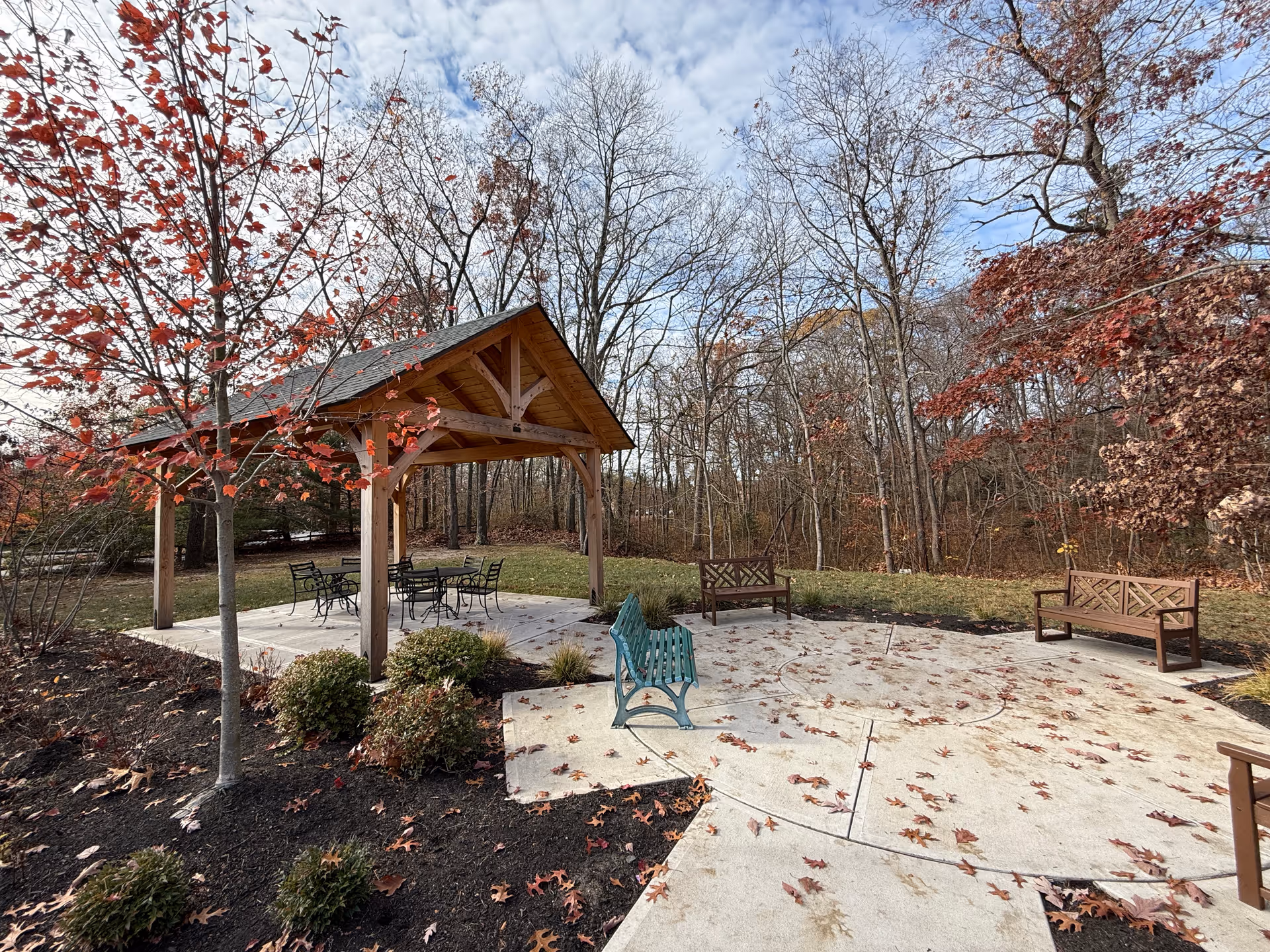 Outdoor seating area with a wooden gazebo covering a table and chairs, surrounded by trees with autumn leaves and several benches placed on a concrete patio.