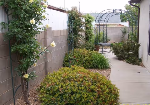 Narrow outdoor walkway with shrubs, climbing roses, and a metal arch bench.