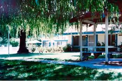Outdoor view of a grassy courtyard with a gazebo and shade trees at The Meadows.