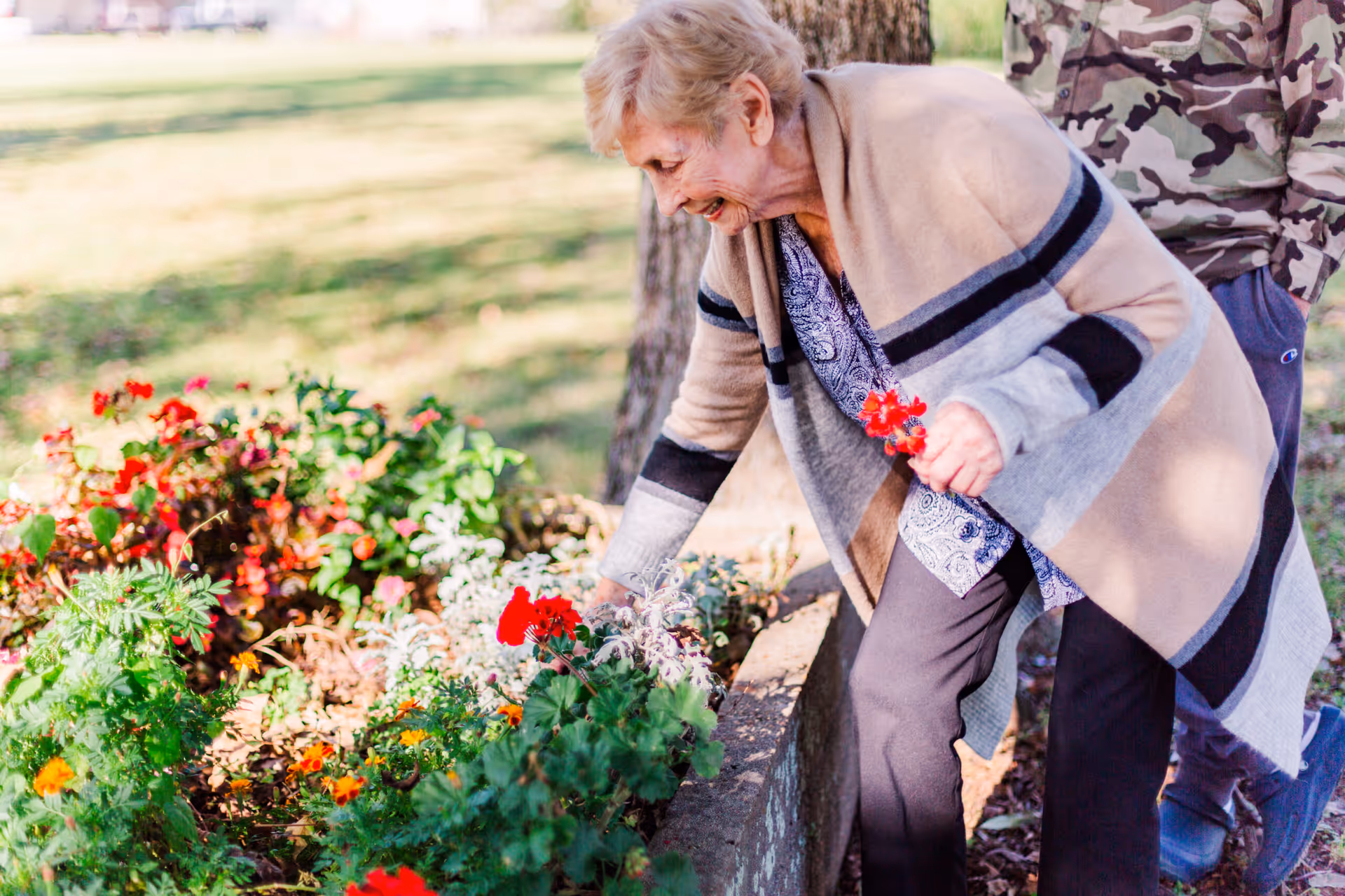 An elderly woman wearing a beige and gray striped cardigan is bending over to tend to a flower bed with red and orange flowers outdoors. Another person stands nearby wearing a camouflage jacket and blue shoes. The scene is set in a sunny garden area with green grass and trees in the background.