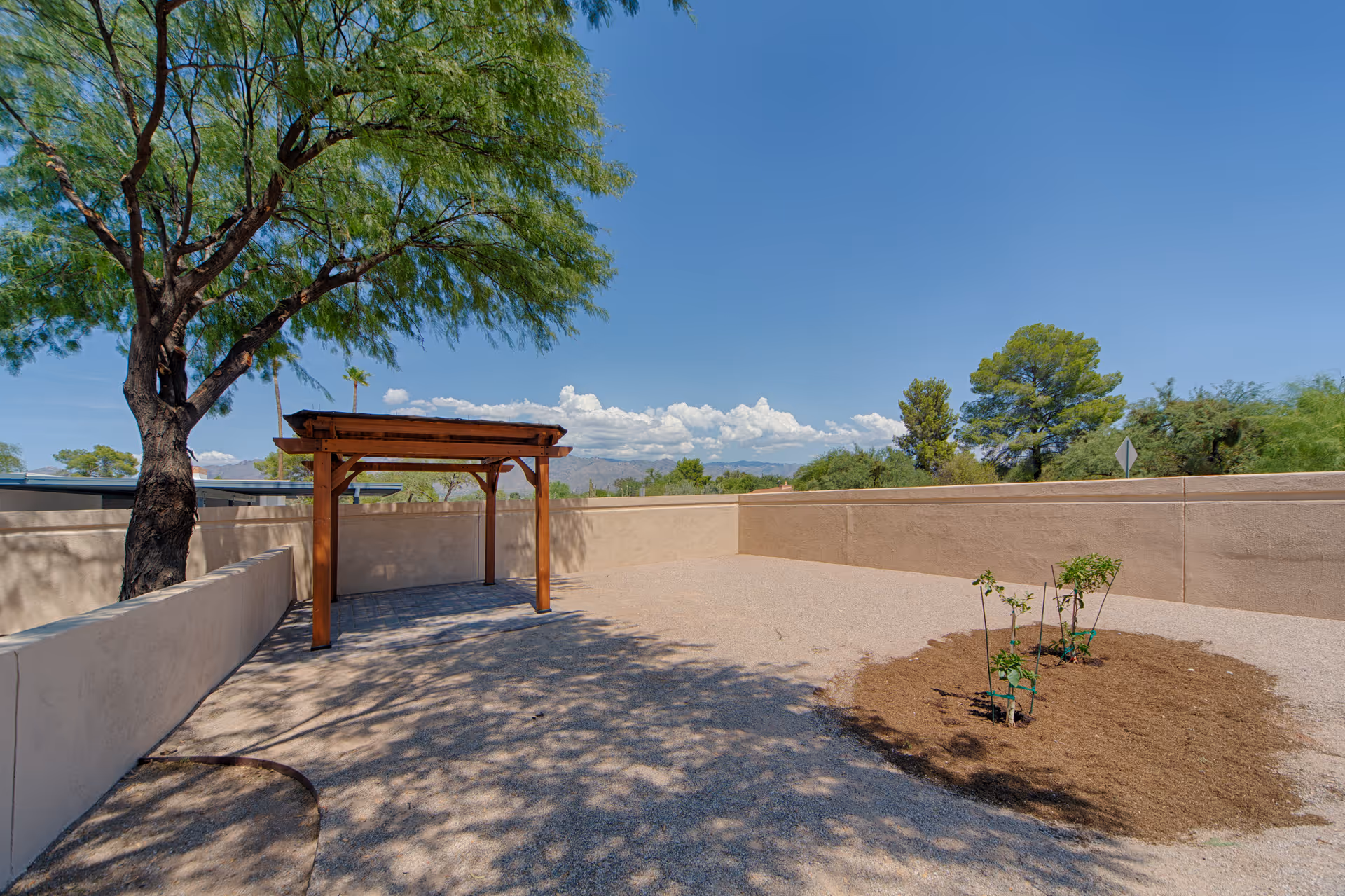 Outdoor area with a wooden pergola, a large tree providing shade, small plants growing in a mulched patch, and a beige stucco wall surrounding the space under a clear blue sky.