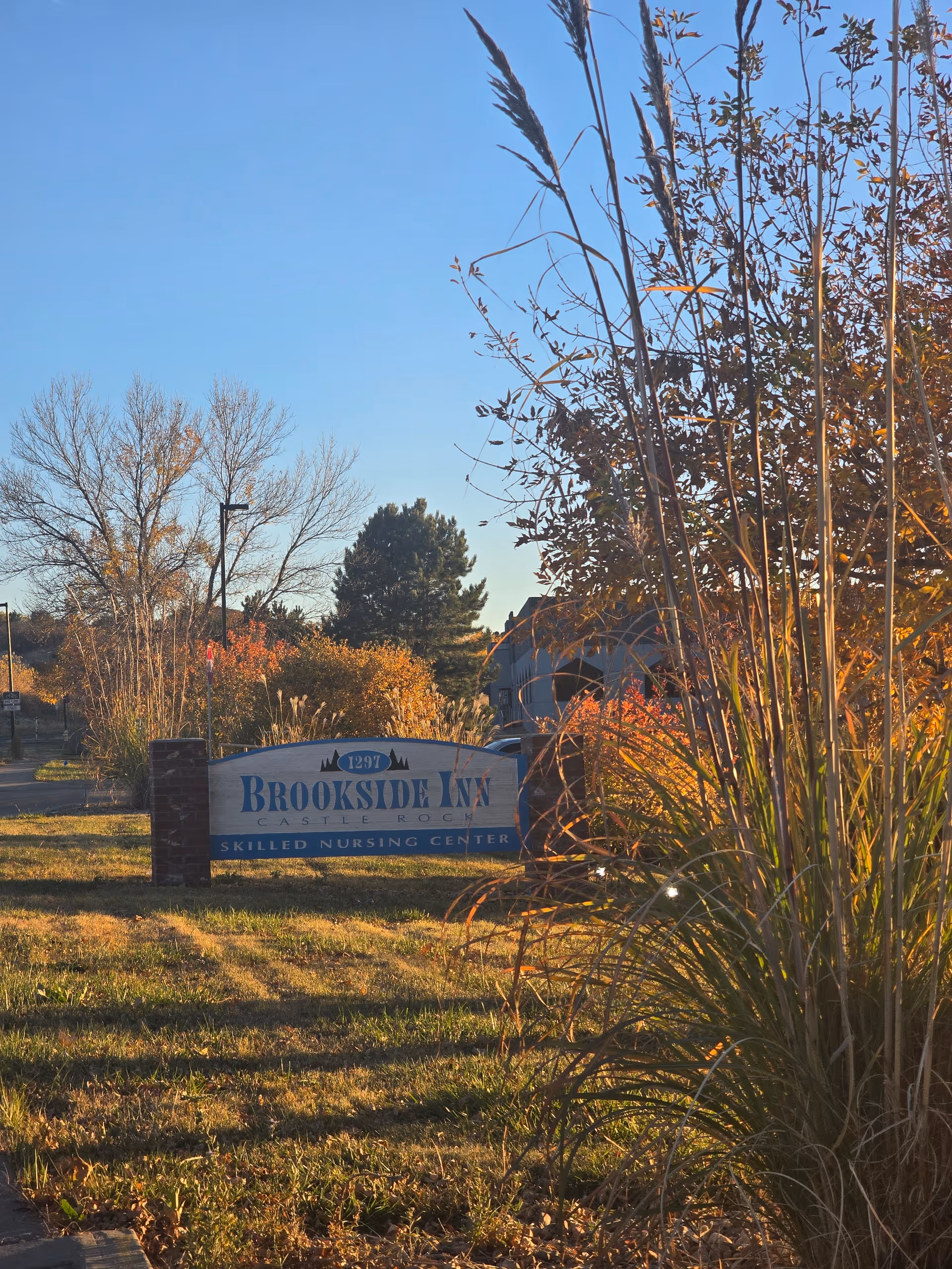 Sunlit entrance sign for Brookside Inn surrounded by grass and tall ornamental plants with trees and the building visible in the background.
