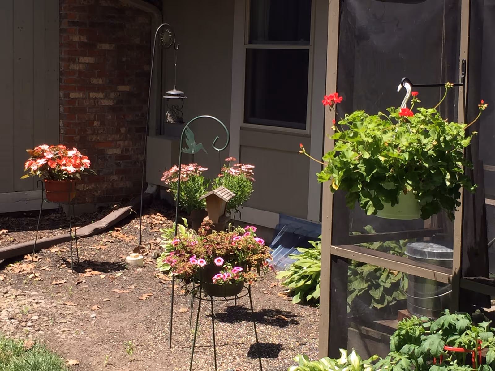 Small backyard garden with hanging baskets and potted flowering plants alongside a screened porch and house wall.