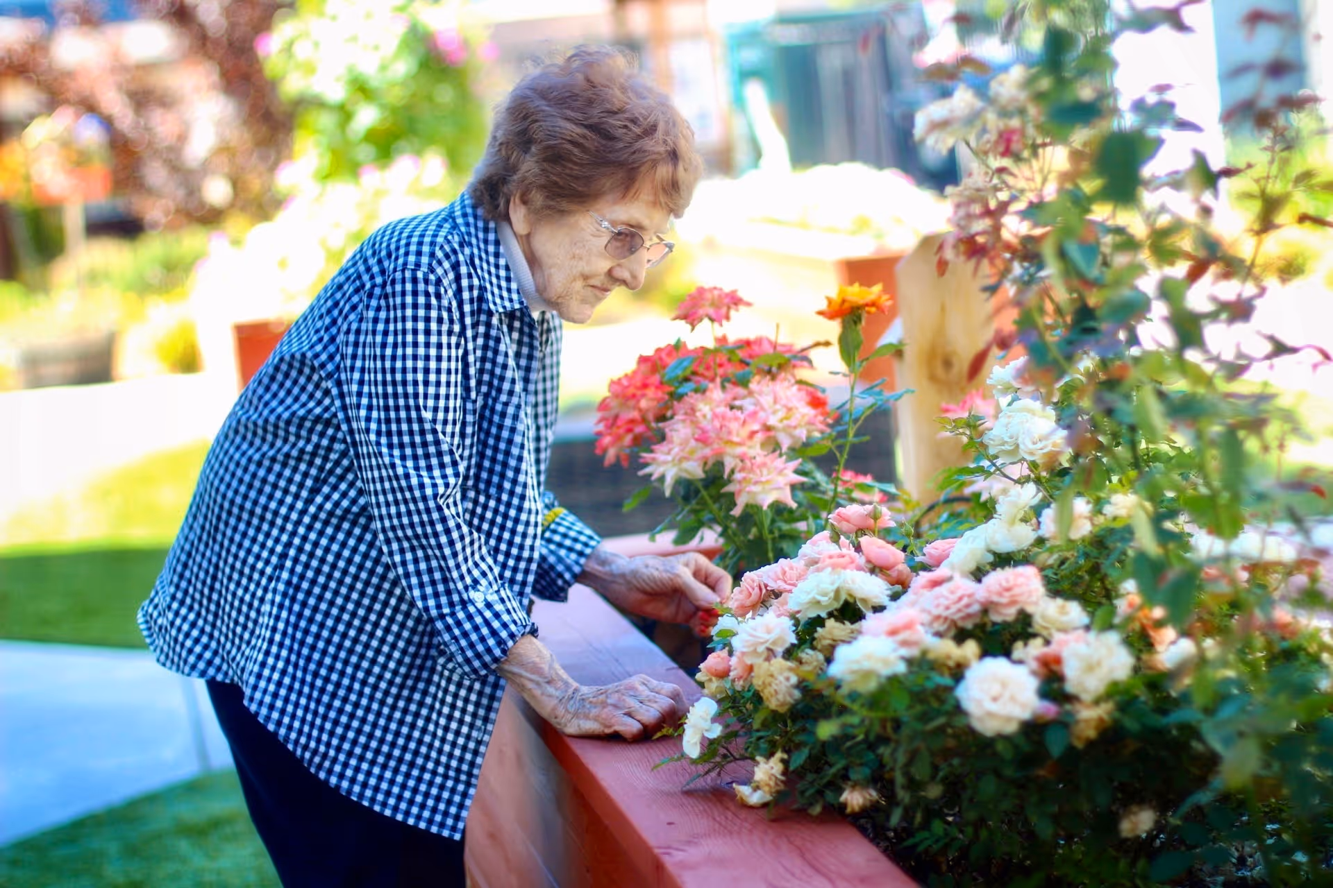 An elderly woman wearing glasses and a blue checkered shirt is leaning over a raised garden bed, tending to or admiring a variety of colorful flowers including pink, white, and orange blooms in an outdoor garden setting.
