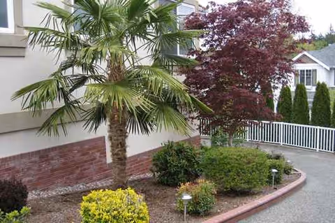 Exterior view of a landscaped area with a palm tree and shrubs beside a building.