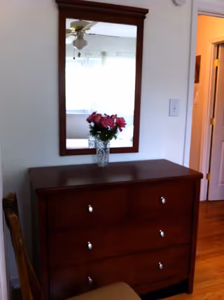 A wooden dresser with six drawers and silver knobs, topped with a clear vase holding pink flowers. Above the dresser is a rectangular mirror with a wooden frame. To the right, there is an open doorway leading to another room with a wooden floor.
