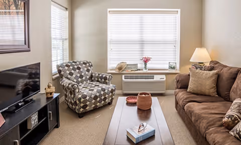 Cozy living room with a patterned armchair, brown sofa, coffee table, TV on a stand, and a window with blinds.