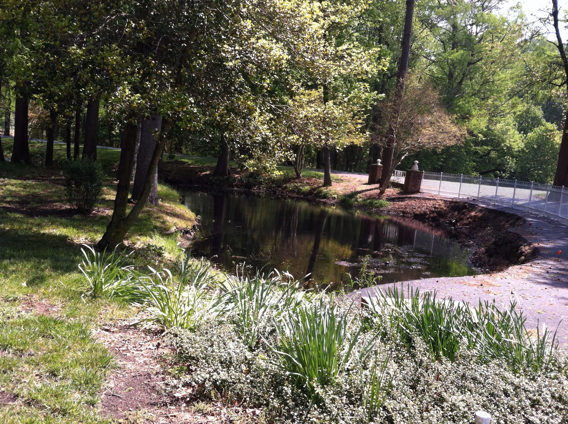 A peaceful outdoor scene featuring a small pond surrounded by green grass, plants, and trees with sunlight filtering through the leaves. A paved path with a white fence runs alongside the pond.