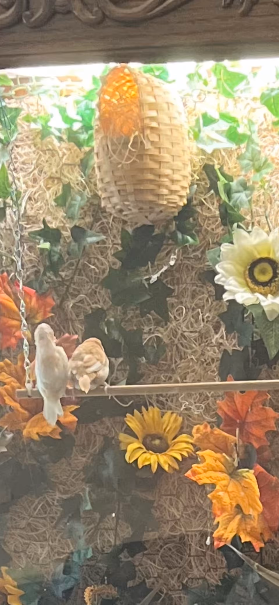 Two small birds perched on a wooden stick surrounded by artificial autumn leaves, sunflowers, green ivy, and a woven basket hanging above them.