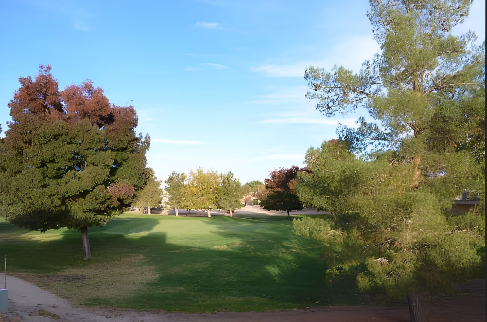 A scenic outdoor view of a green grassy area with various trees under a clear blue sky.