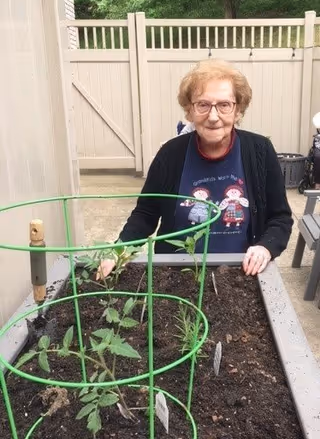 An elderly woman with glasses and short hair stands behind a raised garden bed with young plants supported by a green circular plant cage. She is outdoors near a beige fence and smiling gently at the camera.