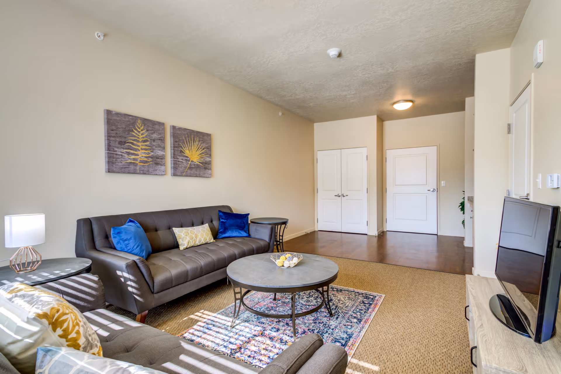 A bright living room in a senior living facility featuring two gray sofas with colorful cushions, a round coffee table on a patterned rug, a side table with a lamp, wall art with leaf designs, and a flat-screen TV on a wooden stand. The room has beige walls, carpeted and wooden flooring, and two white doors in the background.