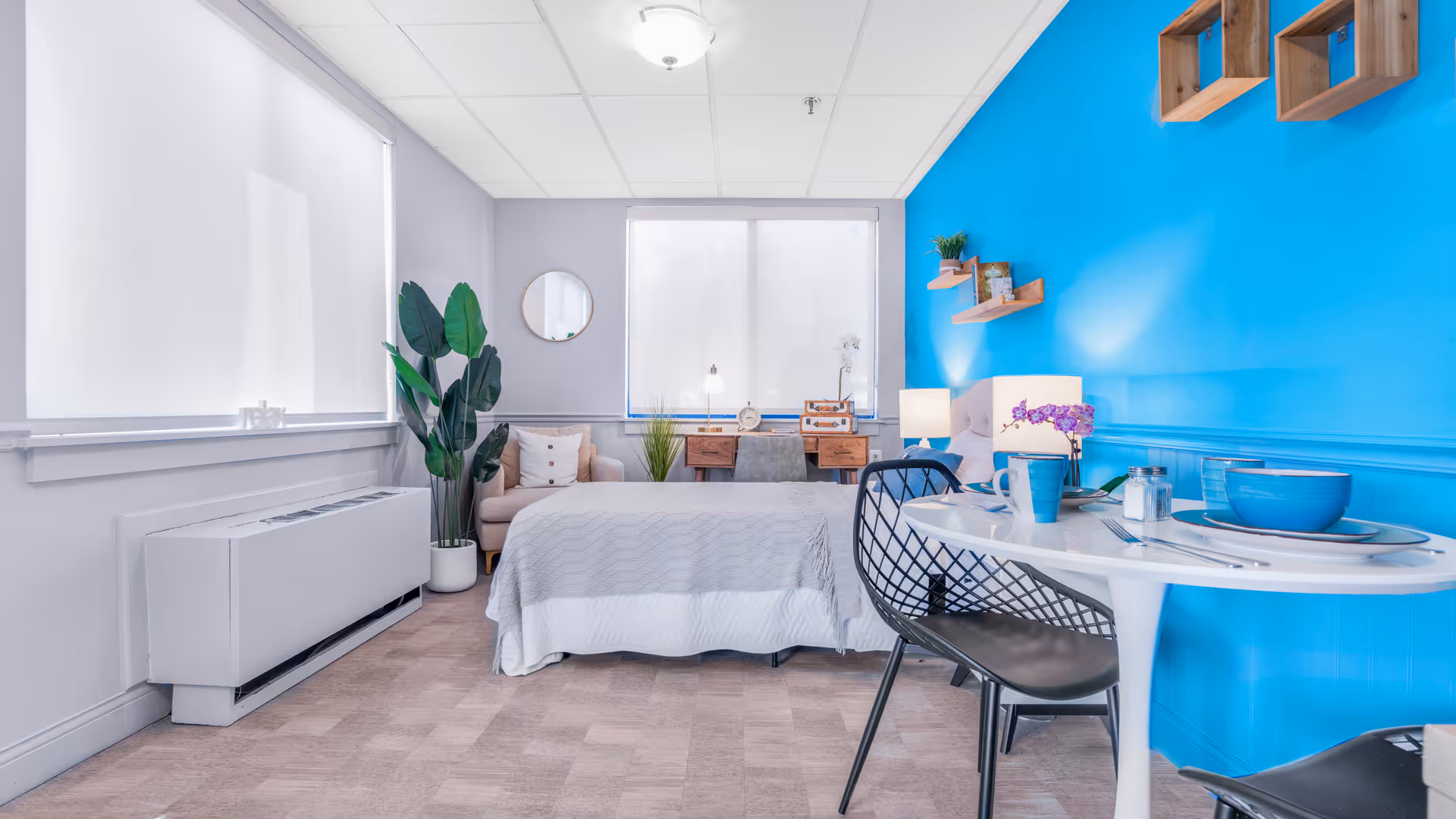 A bright and modern bedroom with a white bedspread, a small round dining table set with blue dishes, two black chairs, a beige armchair, a wooden desk with a chair, and a large green plant. The walls are painted light gray and bright blue, with shelves and decorative items on the blue wall. Large windows with white blinds allow natural light to fill the room.