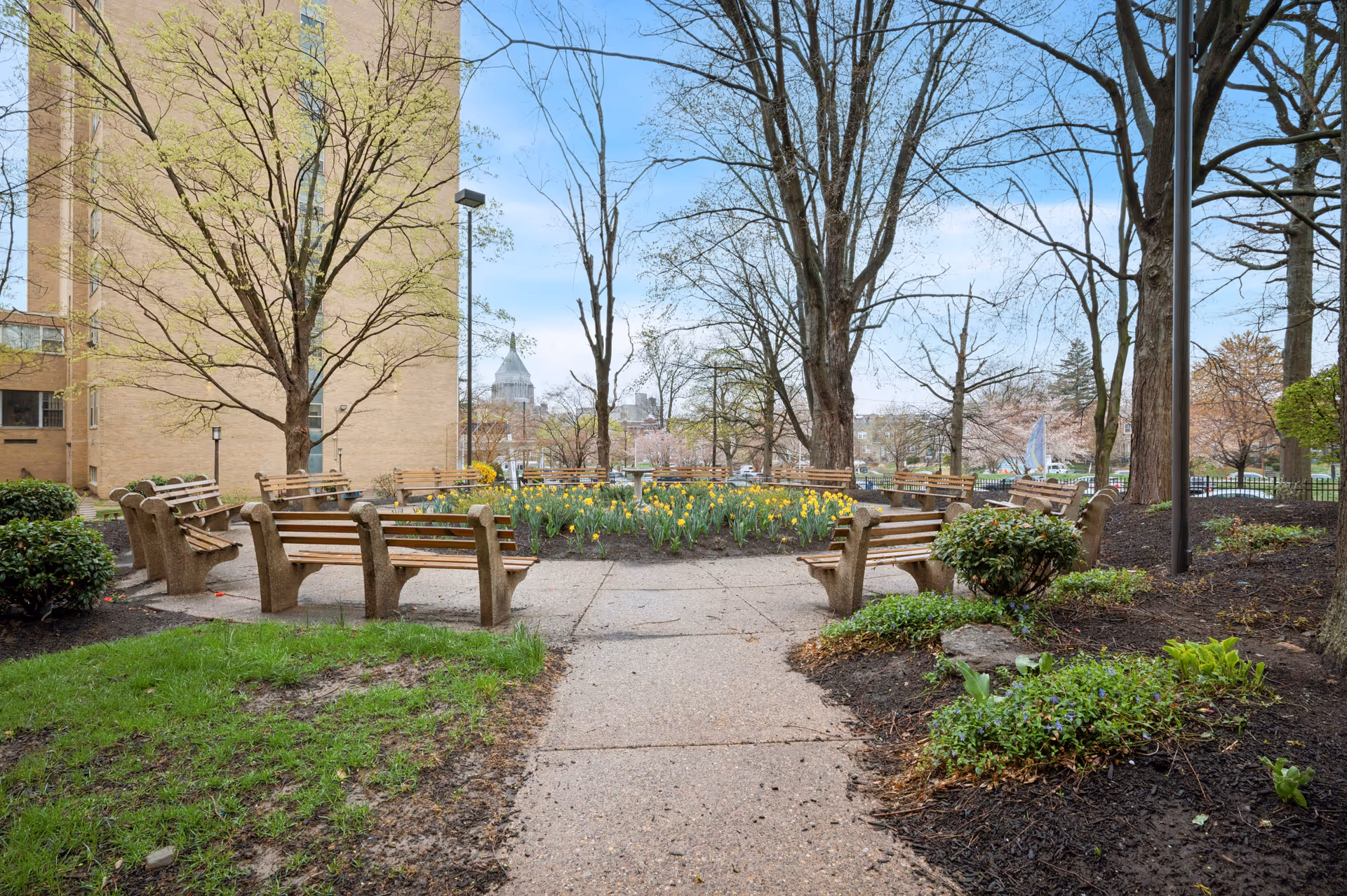 Outdoor garden area with a circular arrangement of wooden benches surrounding a flower bed filled with yellow daffodils. Trees with budding leaves and a brick building are visible in the background under a partly cloudy sky.