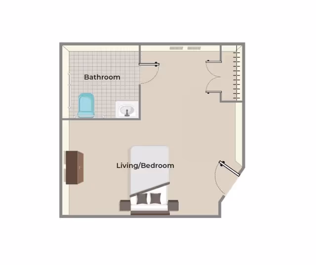 Top-down floor plan of a studio living/bedroom showing a bed, dresser, attached bathroom, closet, and entry door.