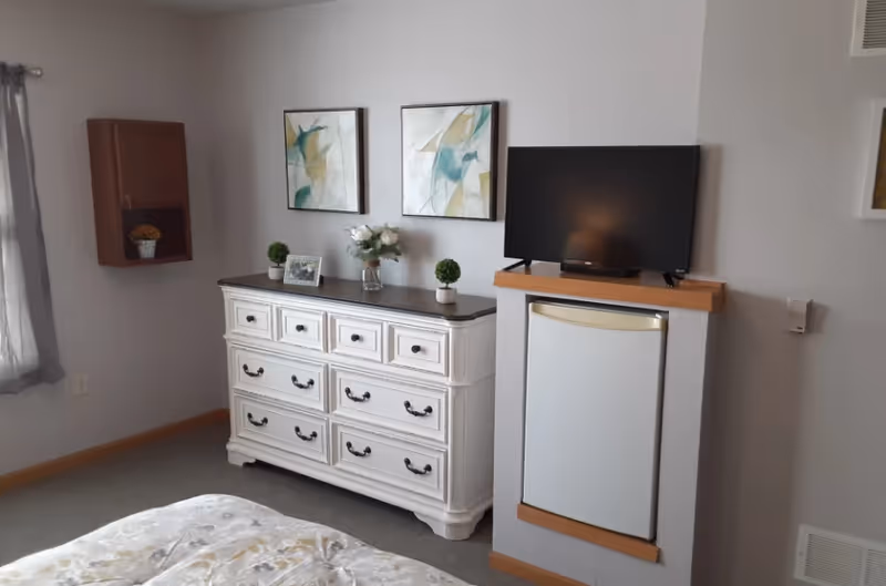 A bedroom interior featuring a white dresser with nine drawers, decorated with two small potted plants, a framed photo, and a vase of flowers. Above the dresser are two abstract paintings. To the right, a flat-screen TV is placed on a wooden shelf above a small refrigerator. A window with gray curtains is partially visible on the left side of the image.