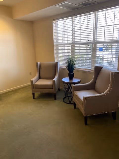 A small sitting area with two beige upholstered armchairs positioned around a round wooden side table with a potted plant on top, next to a large window with white blinds. The room has light-colored walls and green carpet flooring.