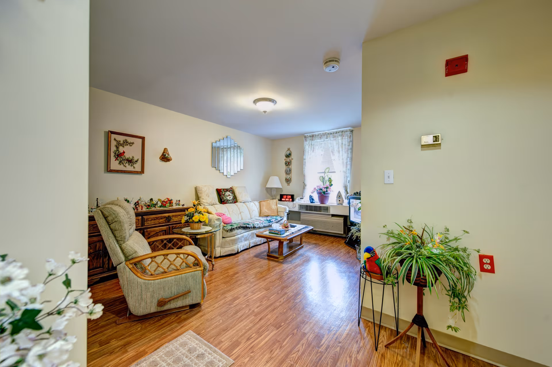 A cozy living room with wooden flooring, a cushioned armchair, a sofa with decorative pillows, a wooden coffee table, and a sideboard with various decorative items. There is a window with sheer curtains letting in natural light, a small TV on a stand, and several potted plants adding greenery to the space.