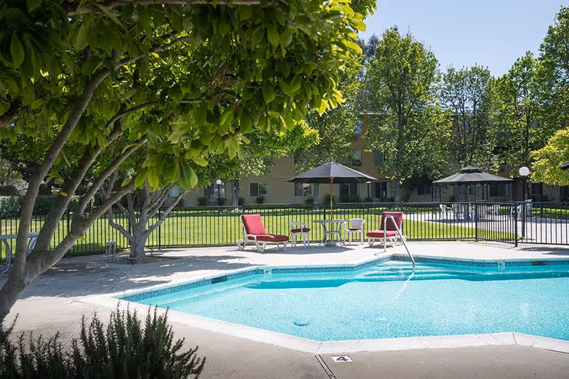 Outdoor swimming pool with lounge chairs, umbrellas, and trees in a grassy courtyard.