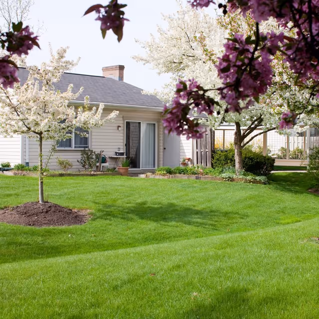 Single-story senior living facility exterior with a green lawn, blooming trees, and a patio.