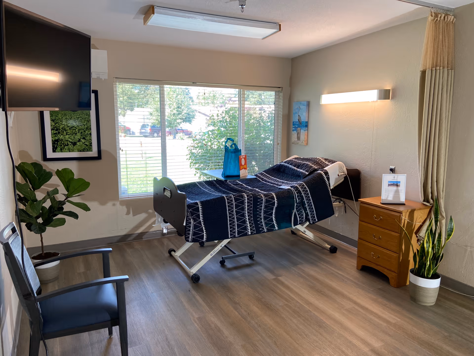 A bright senior care bedroom with an adjustable hospital bed, nightstand, TV, chairs, and plants by a large window.