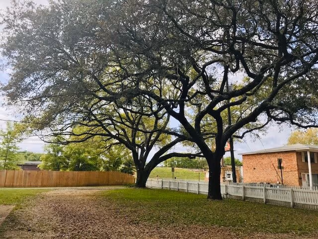 A grassy outdoor area with two large trees providing shade, a wooden fence on the left side, and a white picket fence on the right side. In the background, there is a brick building and some additional greenery under a partly cloudy sky.