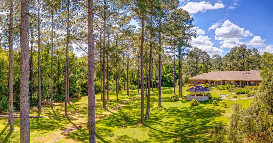 Sunlit grassy grounds with tall pine trees, a gazebo, and a single-story building under a blue sky.