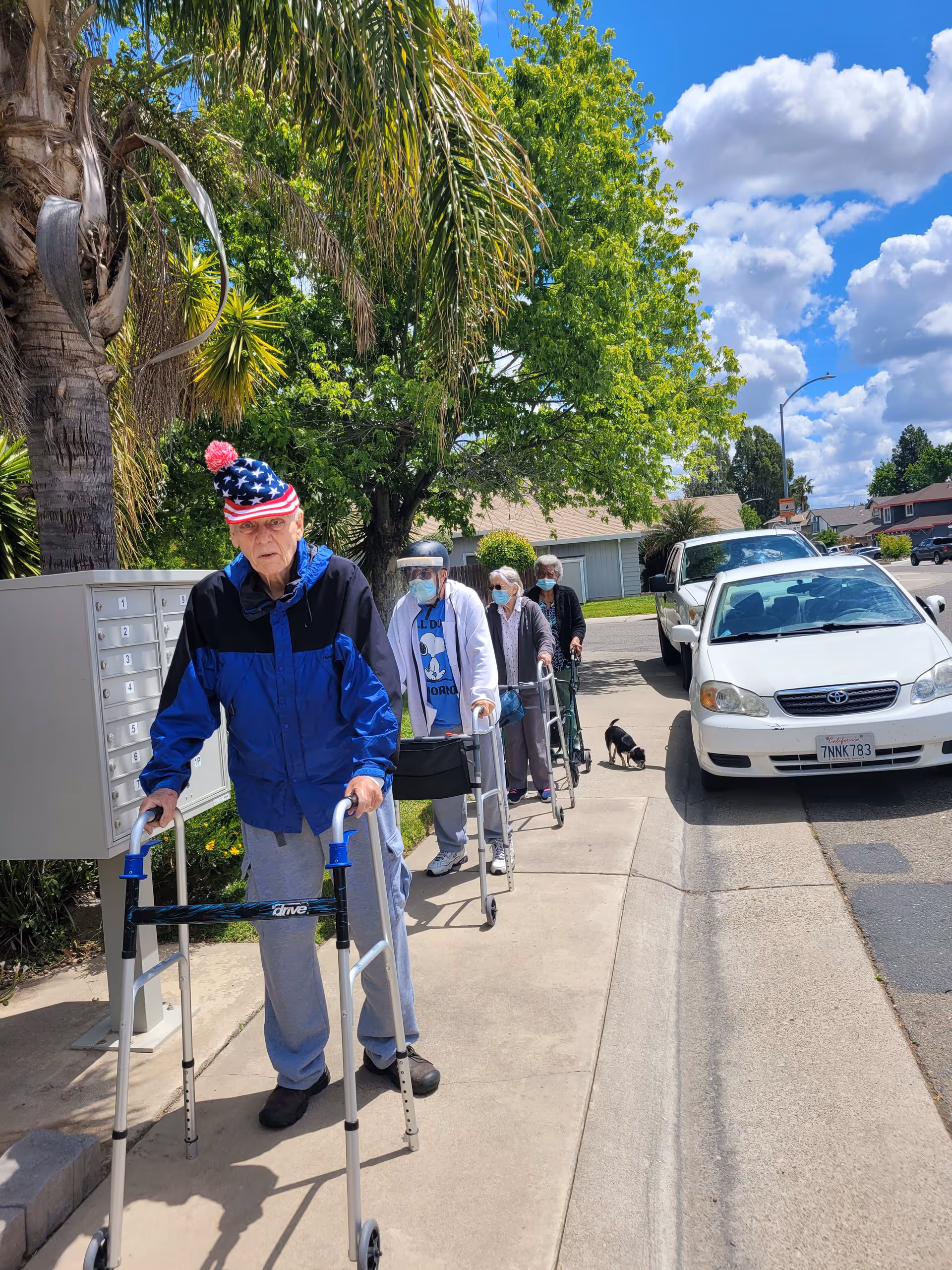 A group of elderly people walking on a sidewalk using walkers. They are outdoors on a sunny day with trees and parked cars nearby. One person is wearing a jacket and a hat with an American flag design. Some individuals are wearing face masks and face shields.