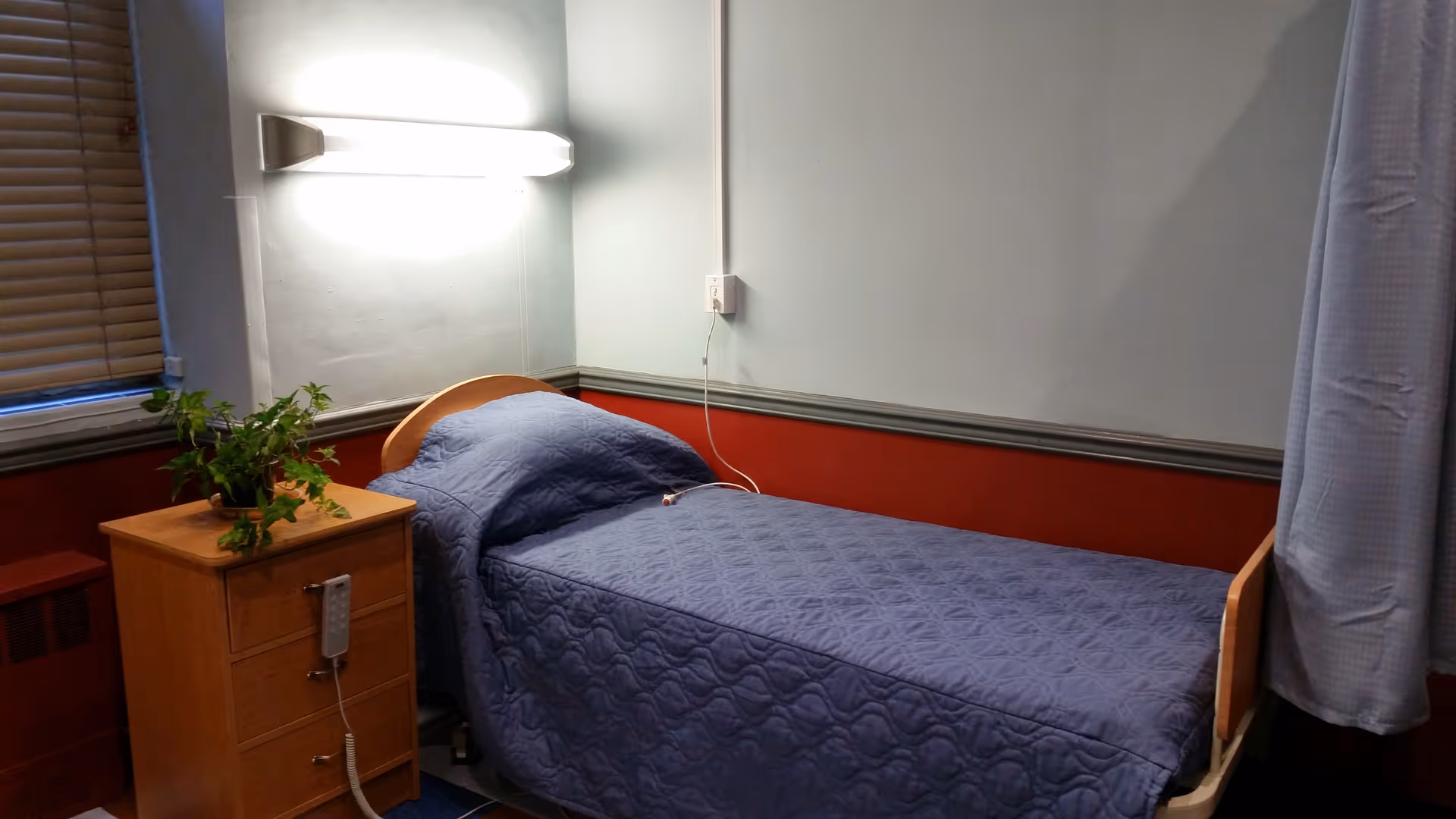 A single bed with a blue quilted bedspread in a small room with light blue and red walls. Next to the bed is a wooden nightstand with a green potted plant on top. A wall-mounted light fixture is above the bed, and a window with closed blinds is partially visible on the left side. A curtain is partially drawn on the right side of the bed.