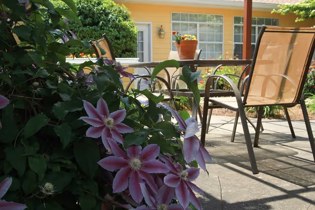 Outdoor patio area with a table and chairs on a concrete surface, surrounded by greenery and blooming purple flowers in the foreground. A yellow building with windows and a door is visible in the background.