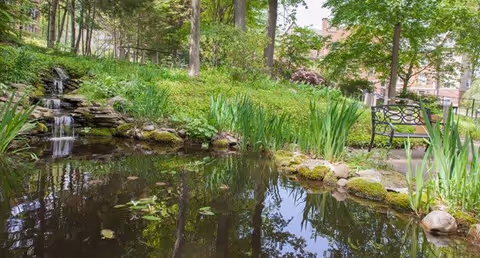 A serene outdoor garden area featuring a small pond with clear water, surrounded by lush green plants and trees. A gentle waterfall flows over rocks into the pond. There is a decorative metal bench on the right side near the pond, and buildings are visible in the background through the trees.