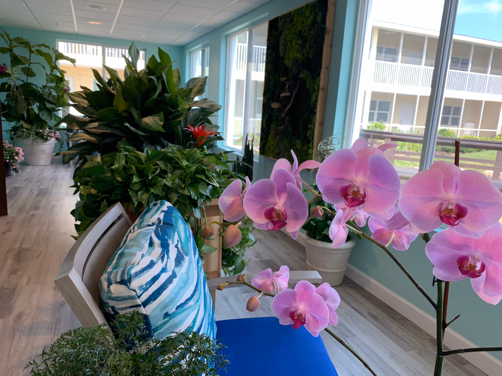 Indoor seating area with a wooden chair featuring a blue cushion and a blue-and-white patterned pillow. In the foreground, there is a branch of pink orchids. The room has large windows letting in natural light, several green potted plants, and light wood flooring. Outside the windows, a building with balconies is visible.