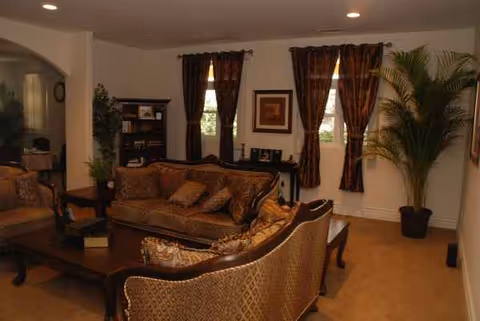 Cozy living room with brown patterned sofas, coffee table, curtains, and large potted plant.