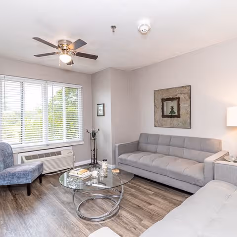 A bright living room with two gray sofas, a blue upholstered chair, a glass coffee table with books and candles, a ceiling fan with light, a large window with white blinds, and a framed artwork on the wall.