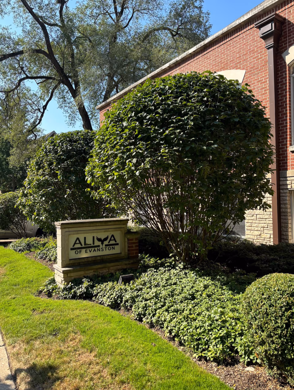 Stone sign reading 'ALIYA of Evanston' sits amid manicured shrubs and lawn beside a red-brick building.