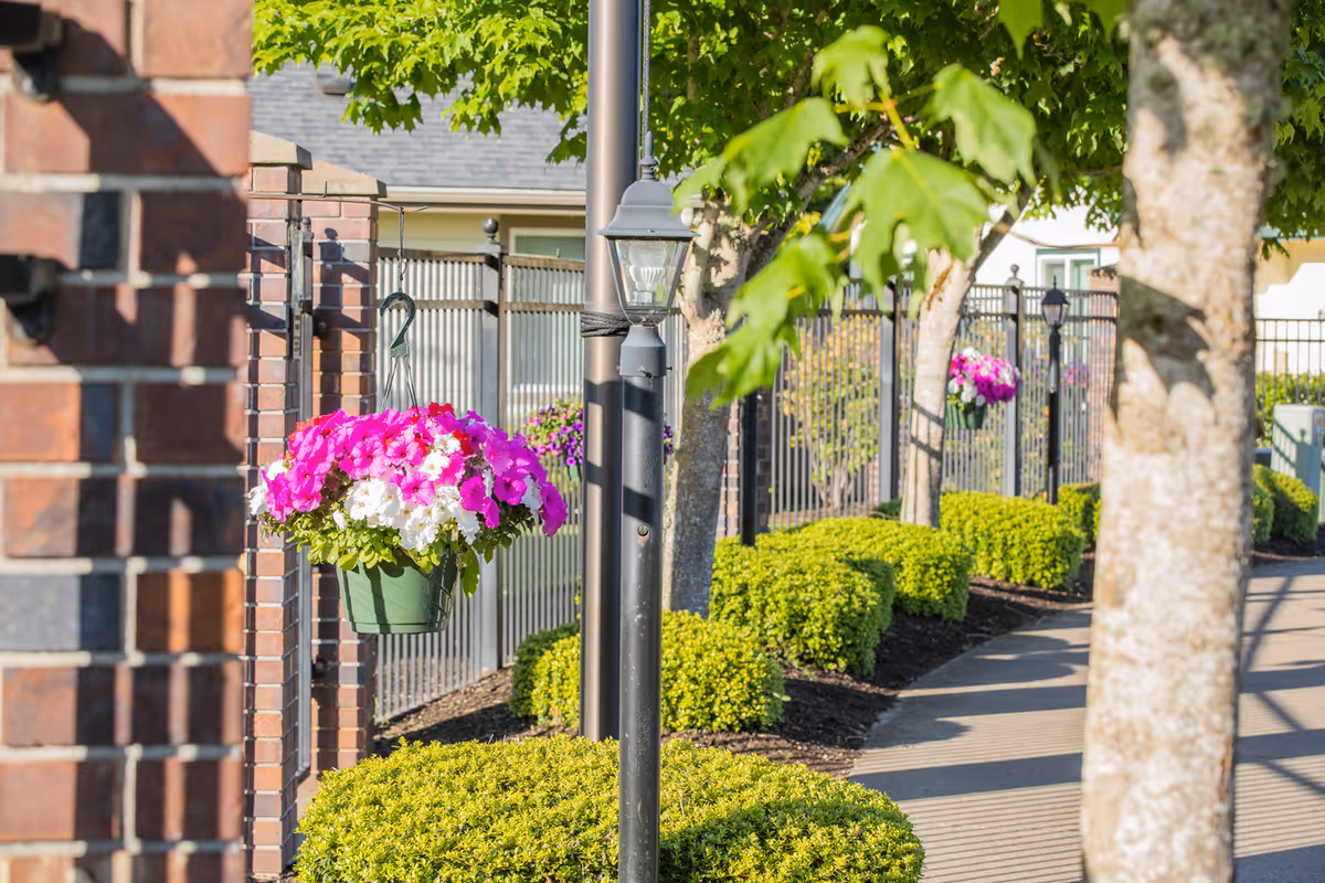 A sunny outdoor walkway lined with neatly trimmed bushes and trees. Hanging flower baskets with pink and white flowers are attached to a black metal fence. A brick pillar and a black lamp post are also visible along the path.