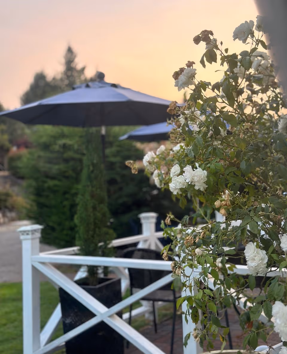Outdoor patio area with white wooden railing, black chairs, large blue umbrellas, and white flowering plants in the foreground during sunset.