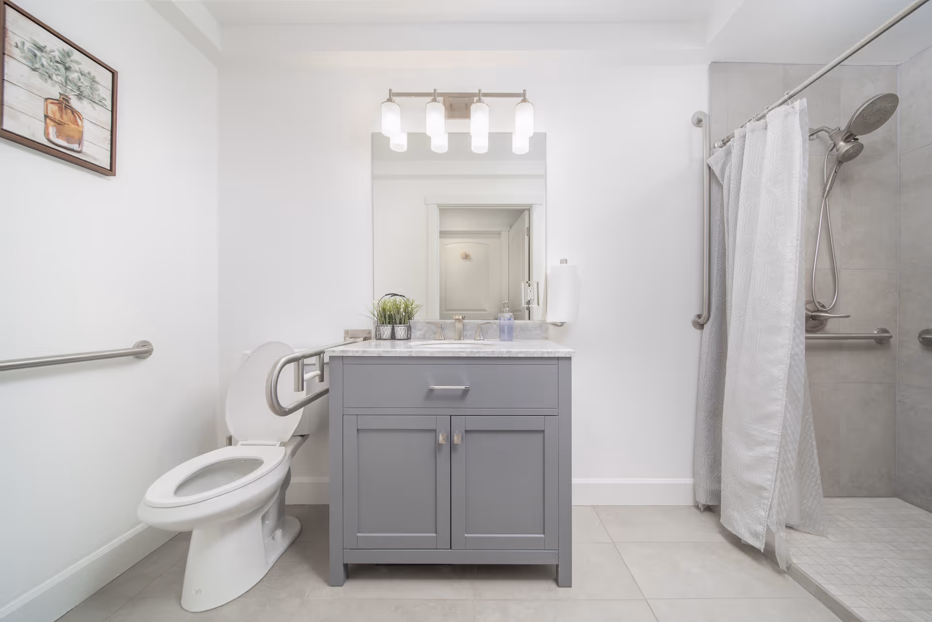 A clean, modern bathroom with a white toilet equipped with safety grab bars, a gray vanity with a marble countertop, a large mirror above the sink, and a walk-in shower with a handheld showerhead and grab bars. There is a small plant on the vanity and a framed picture on the wall.