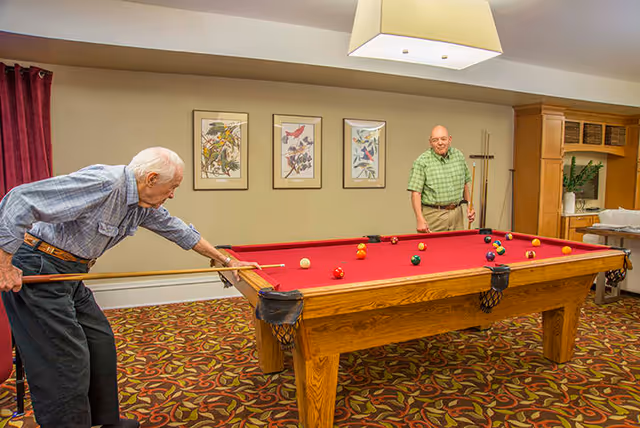Two elderly men playing pool on a red felt pool table in a room with patterned carpet, framed bird artwork on the wall, and wooden cabinetry in the background.