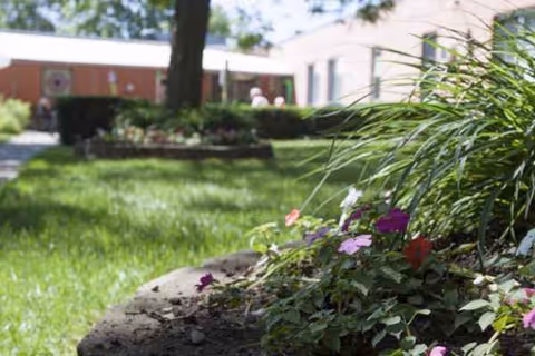 Flower bed and green lawn with a brick building in the background.