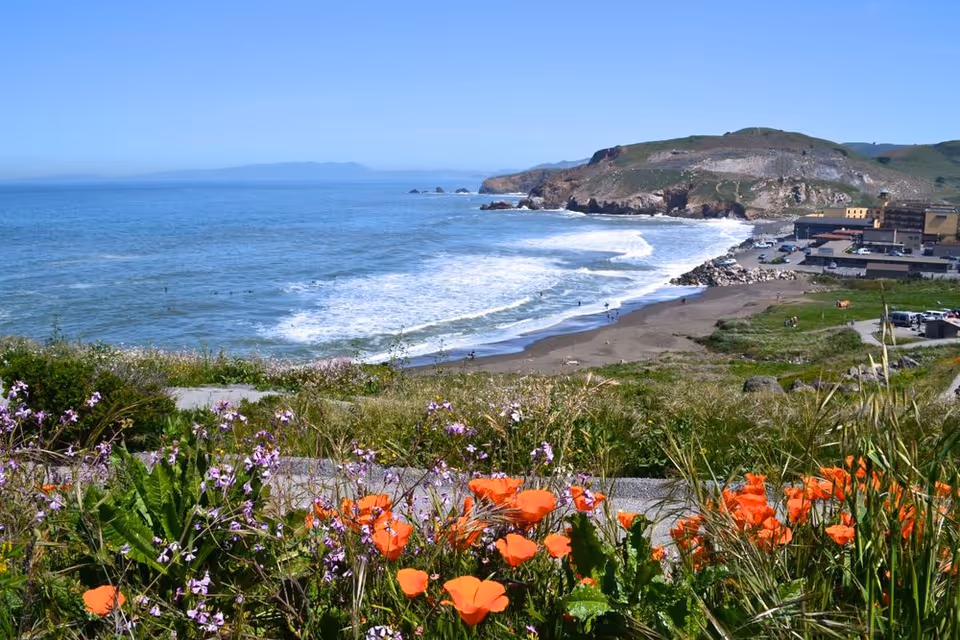 A scenic coastal view featuring a beach with waves crashing onto the shore, rocky cliffs in the background, and colorful wildflowers including orange poppies and purple flowers in the foreground under a clear blue sky.