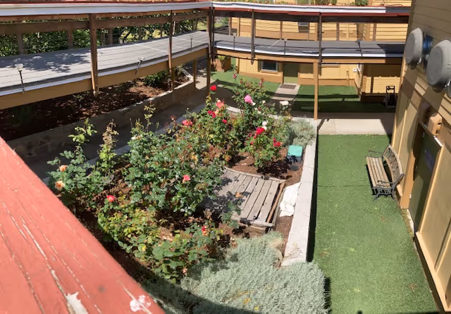 Outdoor courtyard area with a garden bed filled with blooming flowers and shrubs, surrounded by a walkway and a building with yellow walls. There are benches along the walkway and a covered ramp or balcony above.