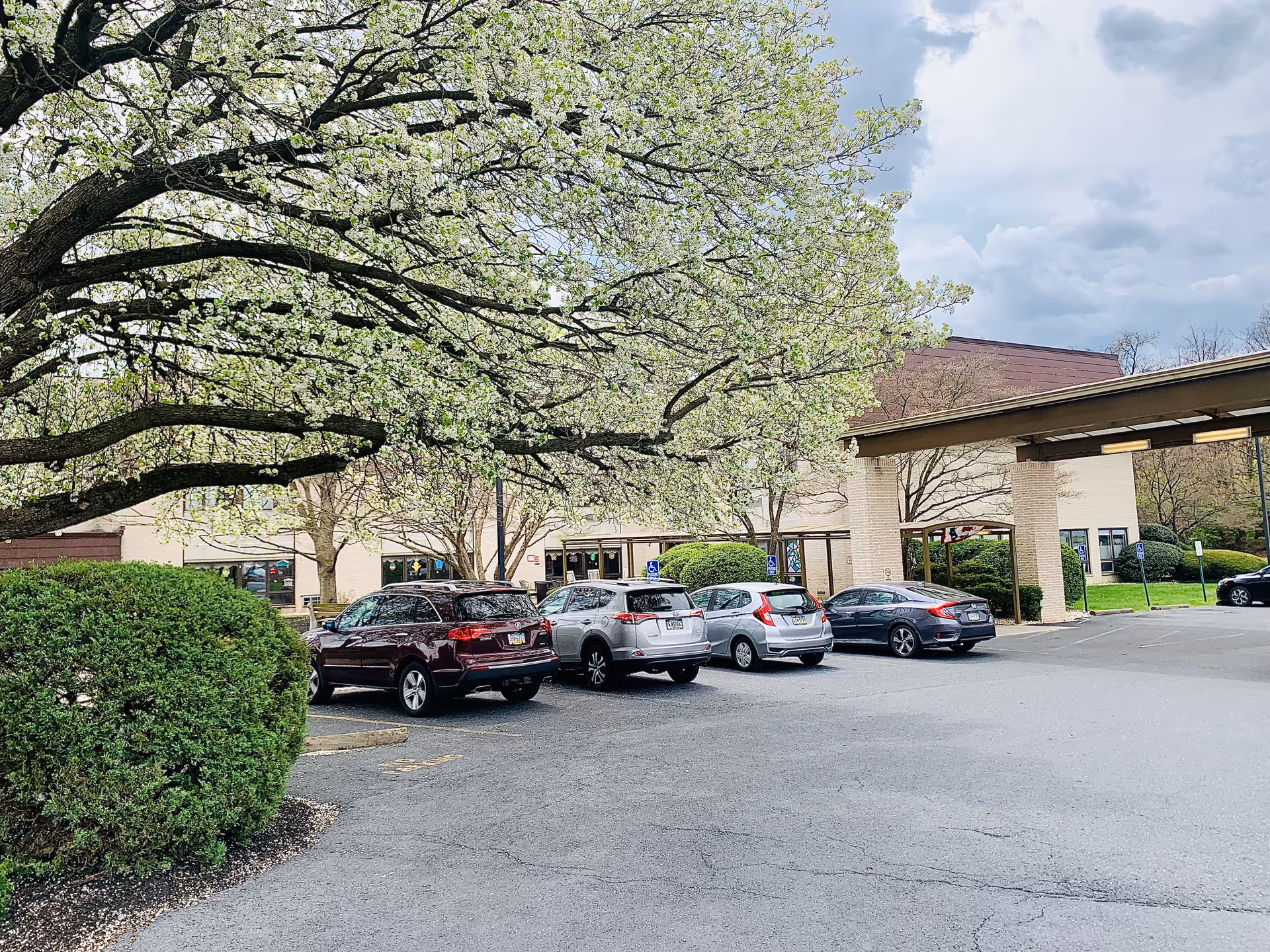 Parking lot in front of a senior living facility with several parked cars, a large tree with white blossoms, green bushes, and a covered entrance to the building under a cloudy sky.