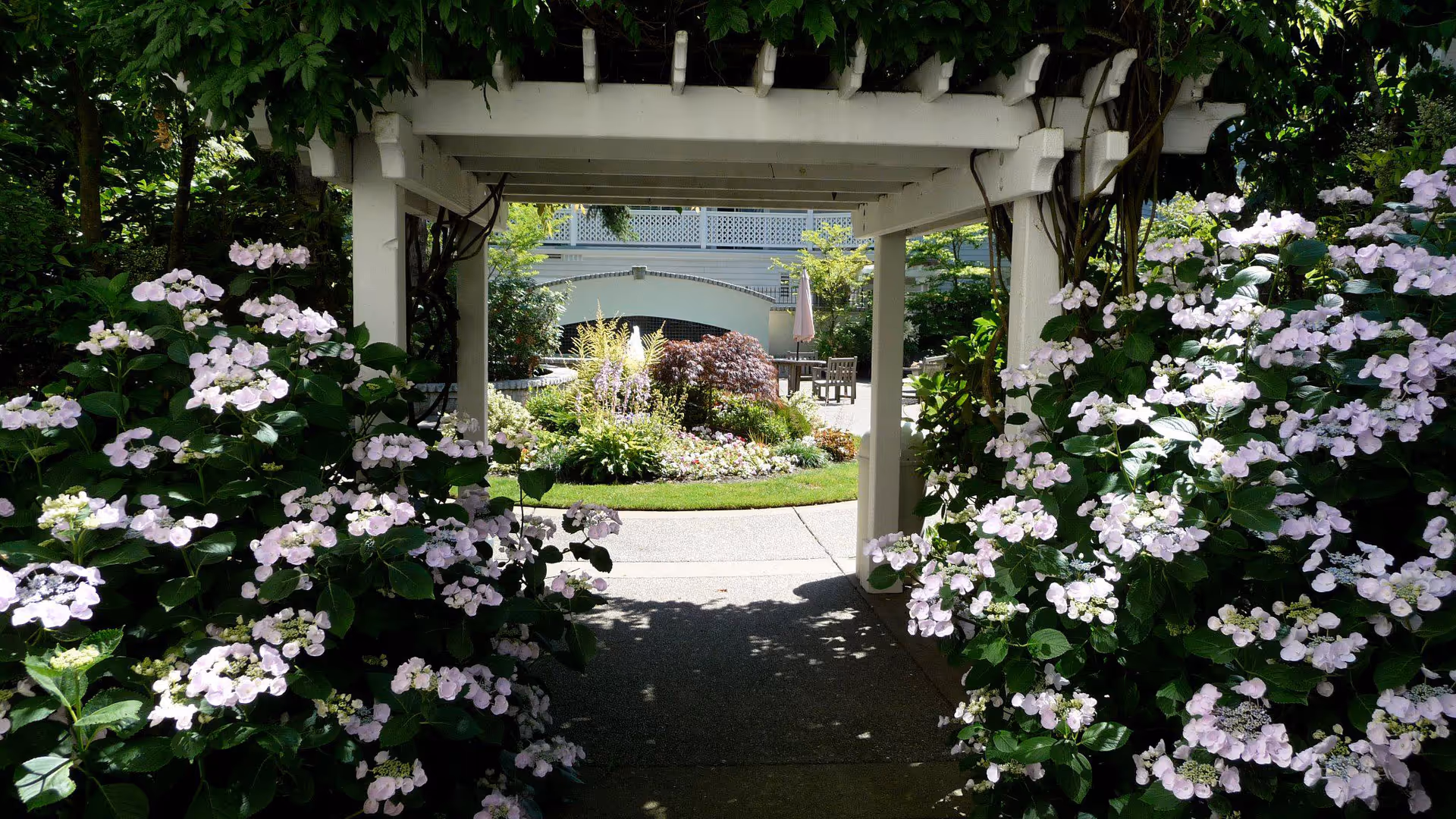 A garden pathway framed by a white wooden pergola with blooming light purple hydrangea bushes on both sides. In the background, there is a circular flower bed with various plants and shrubs, and outdoor seating with tables and chairs under an umbrella. The setting appears to be a peaceful outdoor area of a senior living facility.