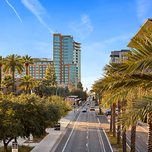 Urban street scene with palm trees lining both sides of the road, modern multi-story buildings in the background under a clear blue sky.