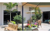 Outdoor patio area with seating including wooden benches and a table with chairs under an umbrella. The space is decorated with potted plants and small trees, adjacent to a building with large windows.